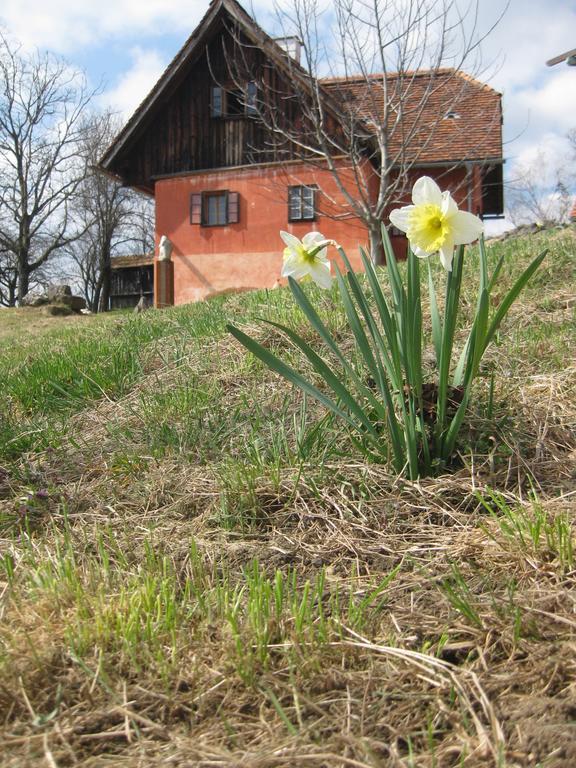 Ferienwohnungen Sonnenberg Ratsch an der Weinstrasse Luaran gambar