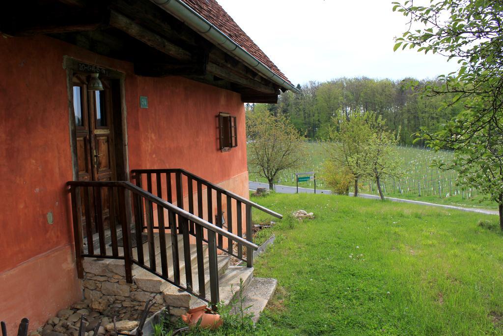 Ferienwohnungen Sonnenberg Ratsch an der Weinstrasse Luaran gambar
