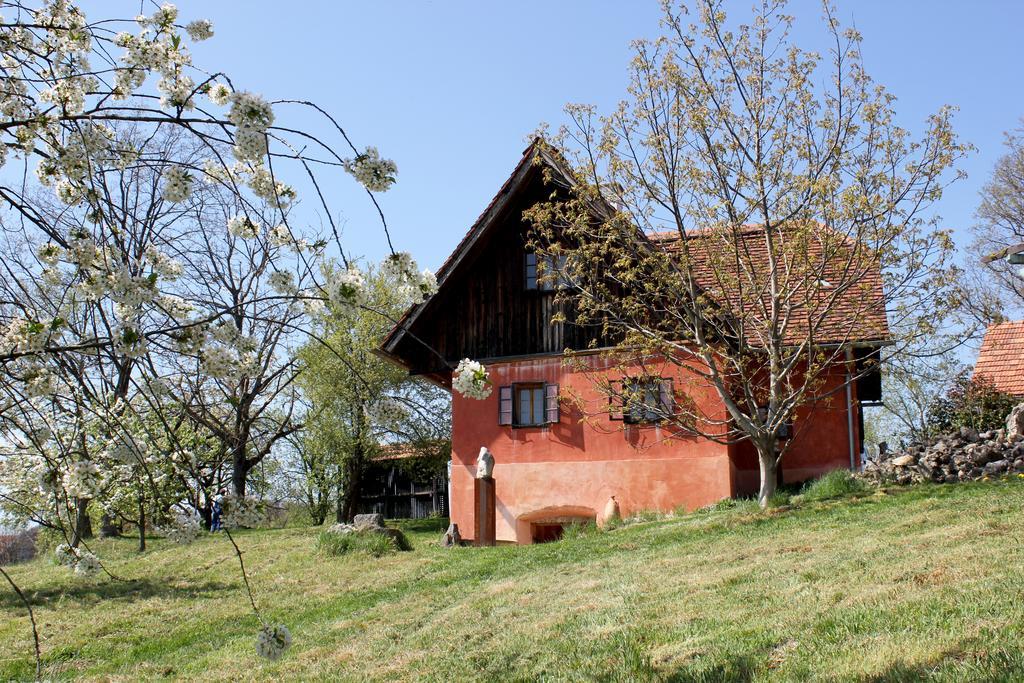 Ferienwohnungen Sonnenberg Ratsch an der Weinstrasse Luaran gambar